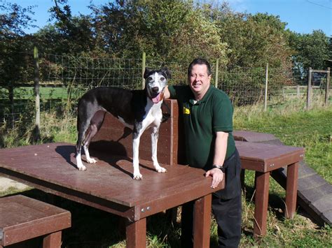 We don&x27;t receive any government funding. . Dogs trust kenilworth